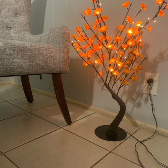 Lamps - Picture 7 of 9